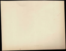 Load image into Gallery viewer, Autograph sheet with handwritten signature by William Ewart Napier