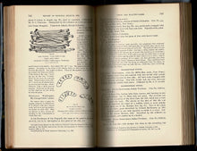 Load image into Gallery viewer, Chess and Playing-Cards. Catalogue of Games and implements for Divination Exhibited by the United States National Museum in connection with the Department of Archaeology and Paleontology of the University of Pennsylvania at the Cotton States and Internati