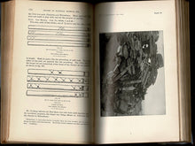 Load image into Gallery viewer, Chess and Playing-Cards. Catalogue of Games and implements for Divination Exhibited by the United States National Museum in connection with the Department of Archaeology and Paleontology of the University of Pennsylvania at the Cotton States and Internati