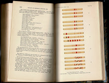 Load image into Gallery viewer, Chess and Playing-Cards. Catalogue of Games and implements for Divination Exhibited by the United States National Museum in connection with the Department of Archaeology and Paleontology of the University of Pennsylvania at the Cotton States and Internati