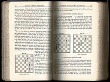 Load image into Gallery viewer, Basic Chess Endings