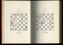 Load image into Gallery viewer, 300 Chess Problems