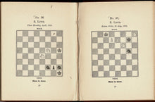 Load image into Gallery viewer, The White Knights