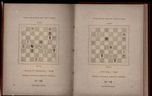 Load image into Gallery viewer, Chess Blossoms: A Selection from the Compositions of Frideswide F Beechey; with some hints on the Construction of two-movers adapted for beginners, and prize problems, end games and verses in British Tourneys of 1882