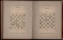 Load image into Gallery viewer, Chess Blossoms: A Selection from the Compositions of Frideswide F Beechey; with some hints on the Construction of two-movers adapted for beginners, and prize problems, end games and verses in British Tourneys of 1882