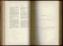 Load image into Gallery viewer, Games Played in the London International Chess Tournament, 1883