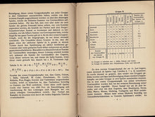 Load image into Gallery viewer, Das Schachturnier zu Ostende im Jahre 1906