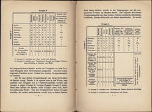 Load image into Gallery viewer, Das Schachturnier zu Ostende im Jahre 1906