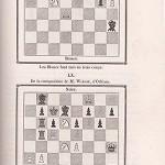 Load image into Gallery viewer, Le Palamede de revue mensuelle des Echecs et Autres Jeux (Volume III, second Series)