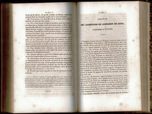 Load image into Gallery viewer, Le Palamede de revue mensuelle des Echecs et Autres Jeux, Volume II