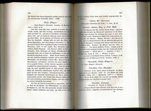 Load image into Gallery viewer, (Tschaturangavidjâ.): Literatur Des Schachspiels