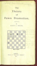 Load image into Gallery viewer, The Theory of Pawn Promotion