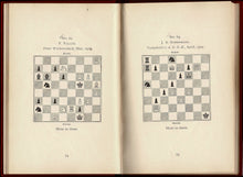 Load image into Gallery viewer, Valves and Bi-valves
