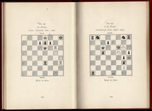 Load image into Gallery viewer, Valves and Bi-valves
