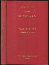 Load image into Gallery viewer, Valves and Bi-valves
