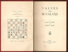 Load image into Gallery viewer, Valves and Bi-valves
