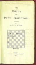 Load image into Gallery viewer, The Theory of Pawn Promotion
